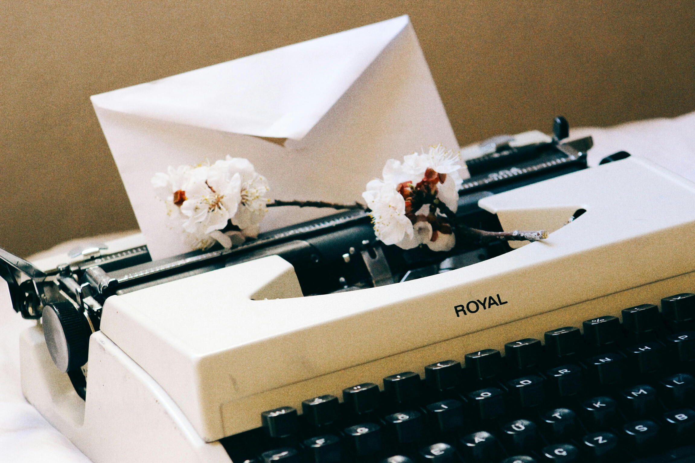 Image: Unsplash